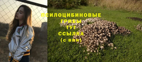 крисы Белоозёрский