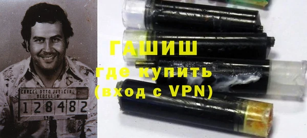 гидра Богданович