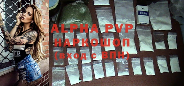 гидра Богданович
