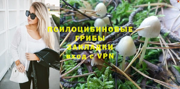 бошки Богородск