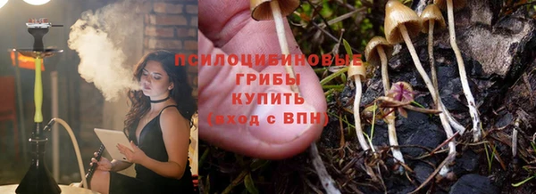 СК Белокуриха