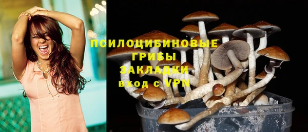гидра Богданович